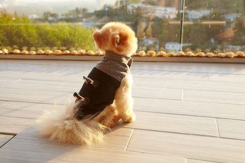 The Chewy L/S Toggle Coat